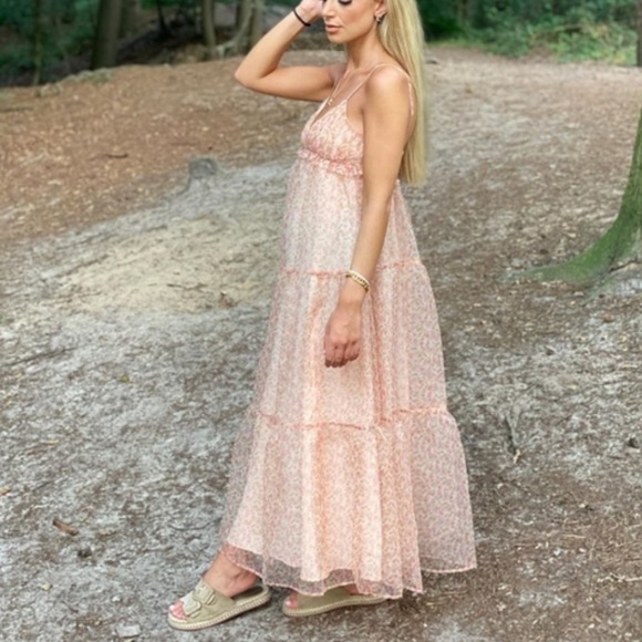 NWOT🌸Blogger’s Favorite Organza Dress - Picture 13 of 16